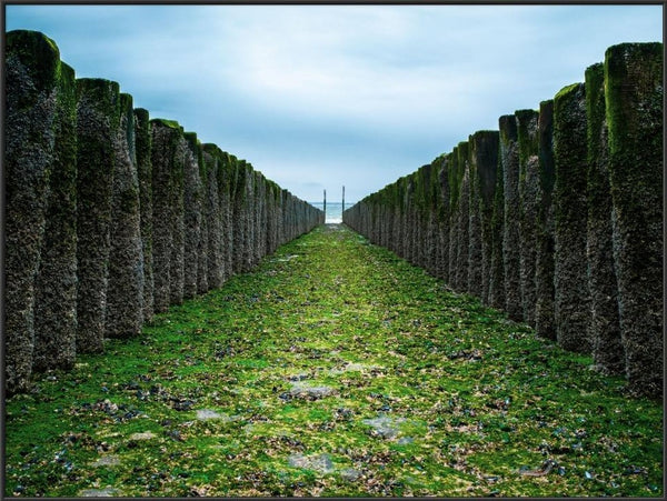 Salty Breeze  - fotokunst.berlin - Kunstfoto Galerie