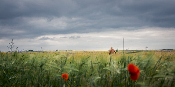 Flower Frenzy  - fotokunst.berlin - Kunstfoto Galerie